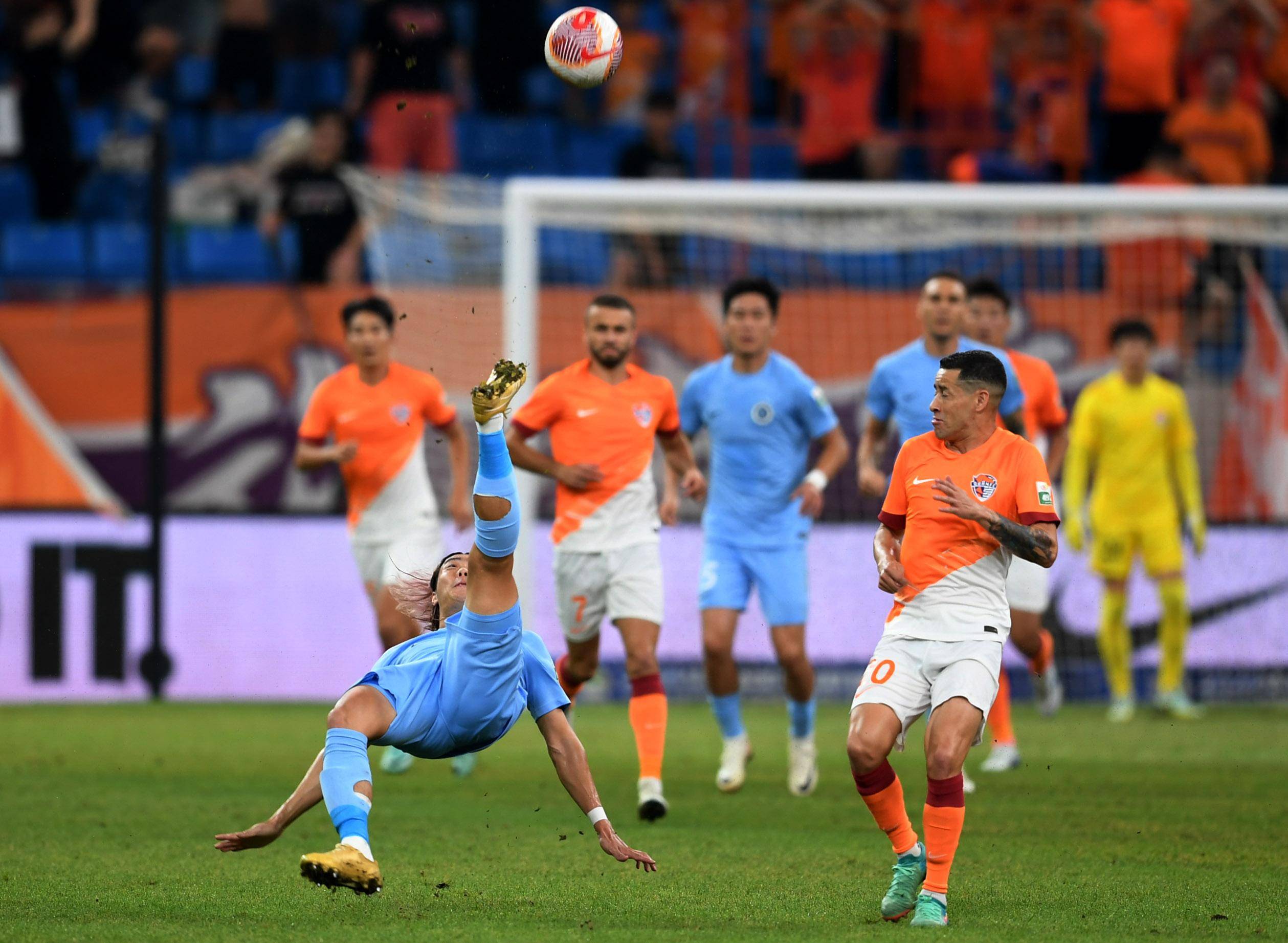 她的成功 她的成功